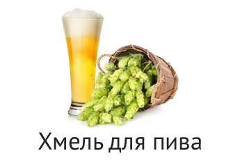 Хмель для пива