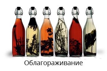 Облагораживание